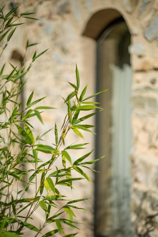 Domaine de Merlac Rieussec Extérieur photo